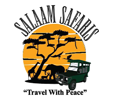 Salaam safaris